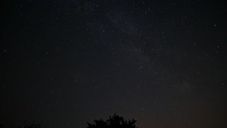 星夜時刻畫面 樹木和雲