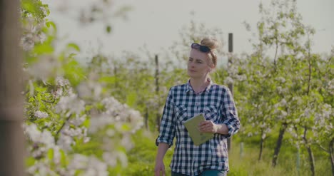 agronomist or farmer examining blossom branch in orchard 11