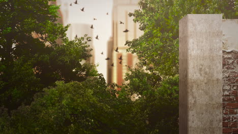 fly birds and big buildings in national park in summer day