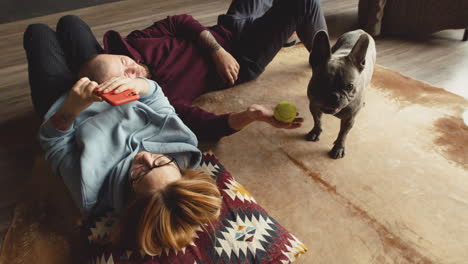 top view of couple playing with her bulldog dog with a tennis ball liying on the floor in living room