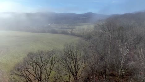 aerial farm filed in winter over treetops, yadkin county nc, north carolina