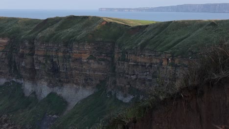 Toma-Panorámica-De-Pájaros-Volando-Alrededor-De-Acantilados-Costeros-En-Yorkshire-Para-Anidar