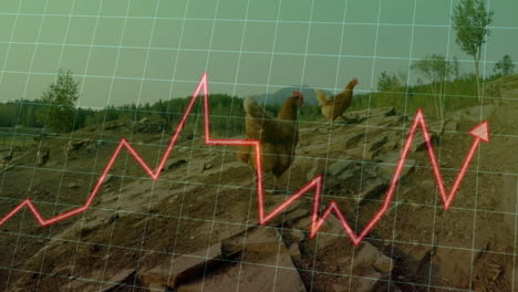 farm growth analytics being animated on rural hillside, showing red zigzag graph with hens walking