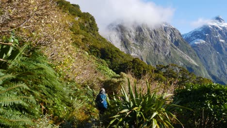 Rückansicht-Einer-Frau-Mit-Rucksack-Und-Trekkingstöcken,-Die-An-Sonnigen-Tagen-In-Ländlichen-Bergen-Wandern-Und-Schwebende-Wolken---Bewachsene-Landschaft-Mit-Farn-Und-Tropischen-Blättern-Auf-Dem-Berggipfel