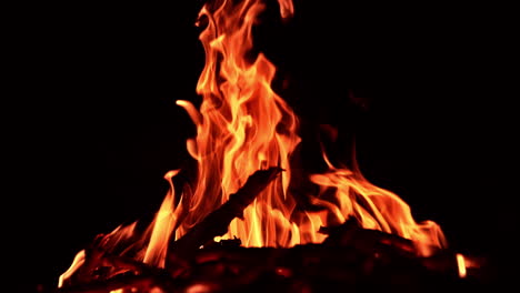 thin branches of tree burn in the campfire. orange flames moving quickly in the darkness.