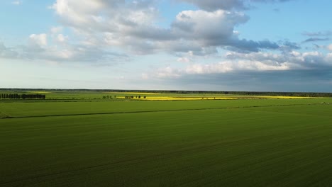 Vuelo-Aéreo-Sobre-El-Floreciente-Campo-De-Colza,-Volando-Sobre-Flores-Amarillas-De-Canola,-Idílico-Paisaje-De-Agricultores,-Hermoso-Fondo-Natural,-Disparo-De-Drones-Moviéndose-Hacia-Atrás-A-Gran-Altura