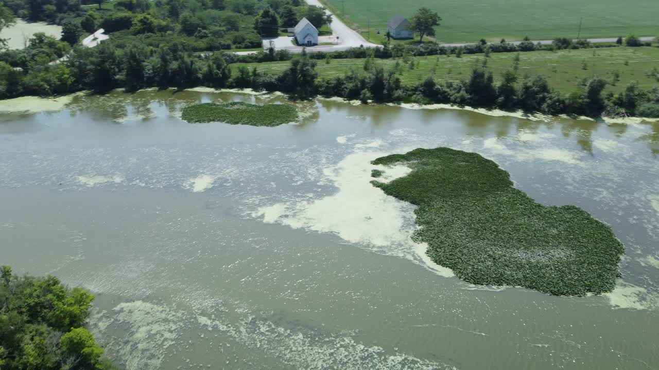 Wetland ecosystem with dark greenery around it