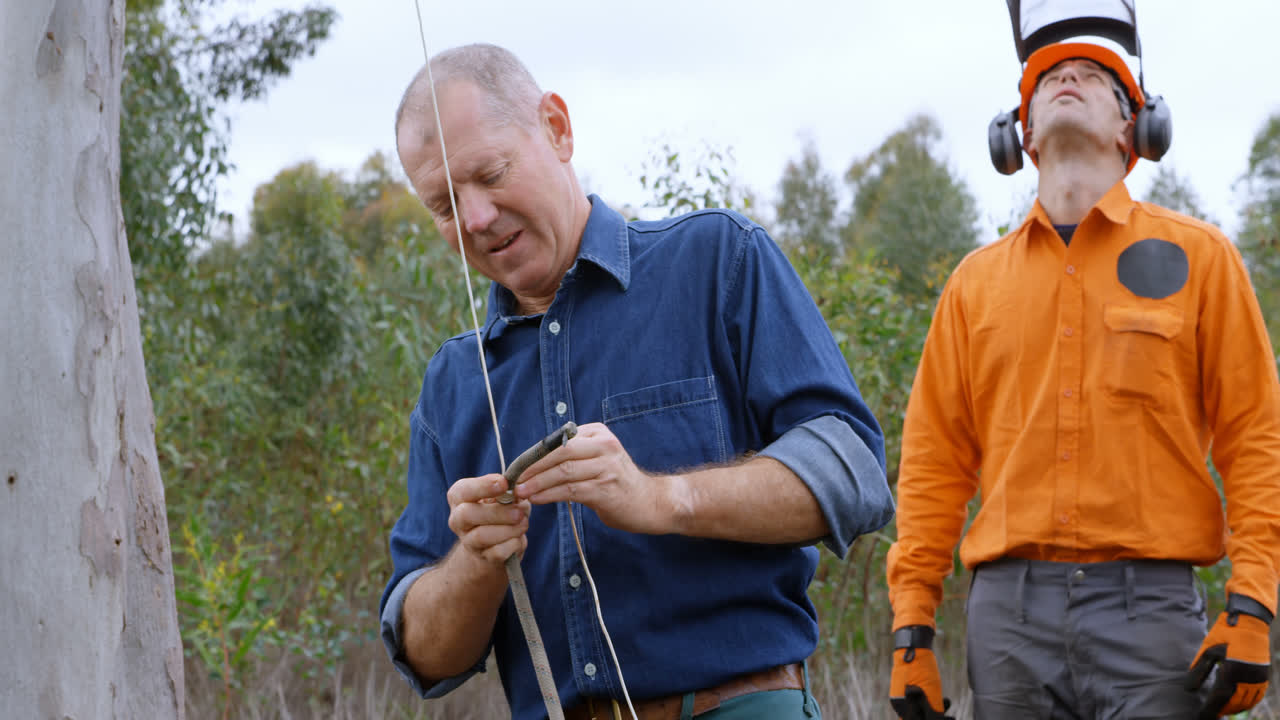 leñadores trabajando en el bosque 4k