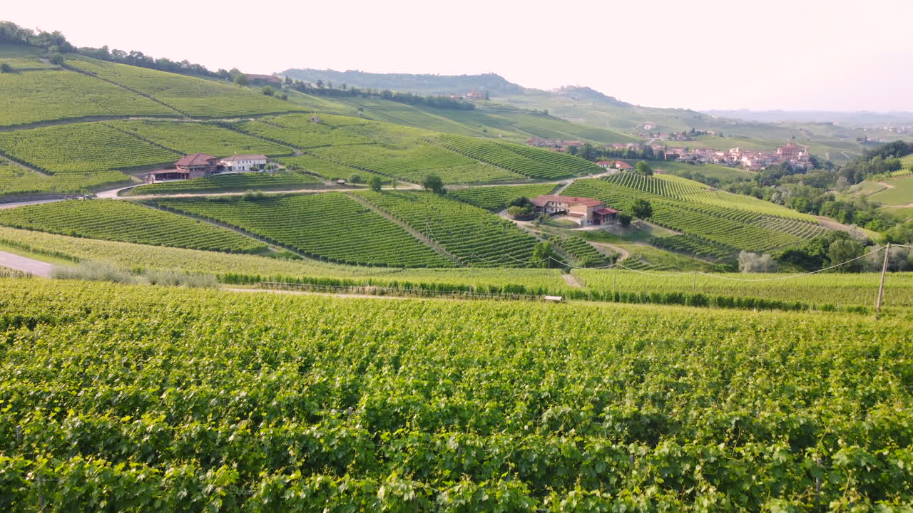 Vineyards agriculture cultivation fields in Barolo Langhe, Piemonte Italy