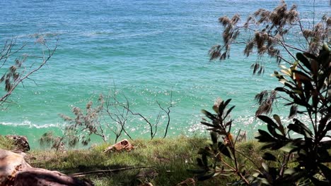 Küstenvegetation-Und-Der-Pazifische-Ozean