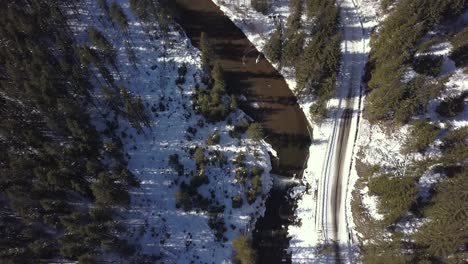 La-Maravillosa-Vista-De-Un-Bosque-Lleno-De-Pinos-Junto-Con-Un-Río-Durante-El-Día---Toma-Aérea