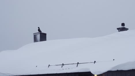 plenty of snow laying on the roofs in norway after snow storm