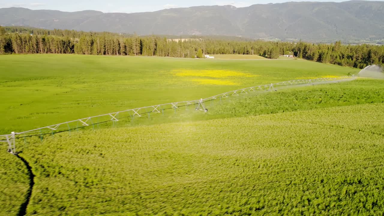riego de los cultivos verdes 4k