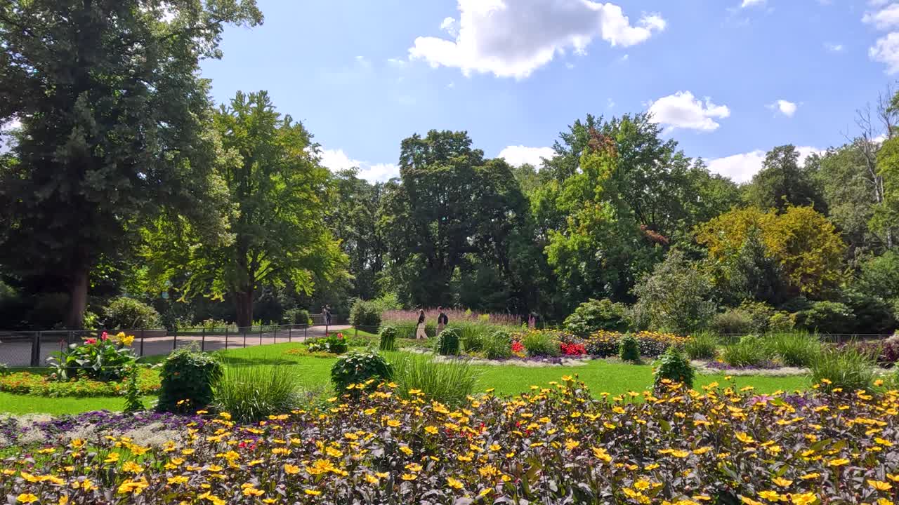Güneşli bir günde Berlin parkında gür yeşilliklerle dolu canlı çiçek bahçesinin geniş çekimi