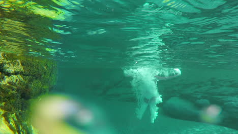 Woman-in-a-red-bikini-swimming-underwater