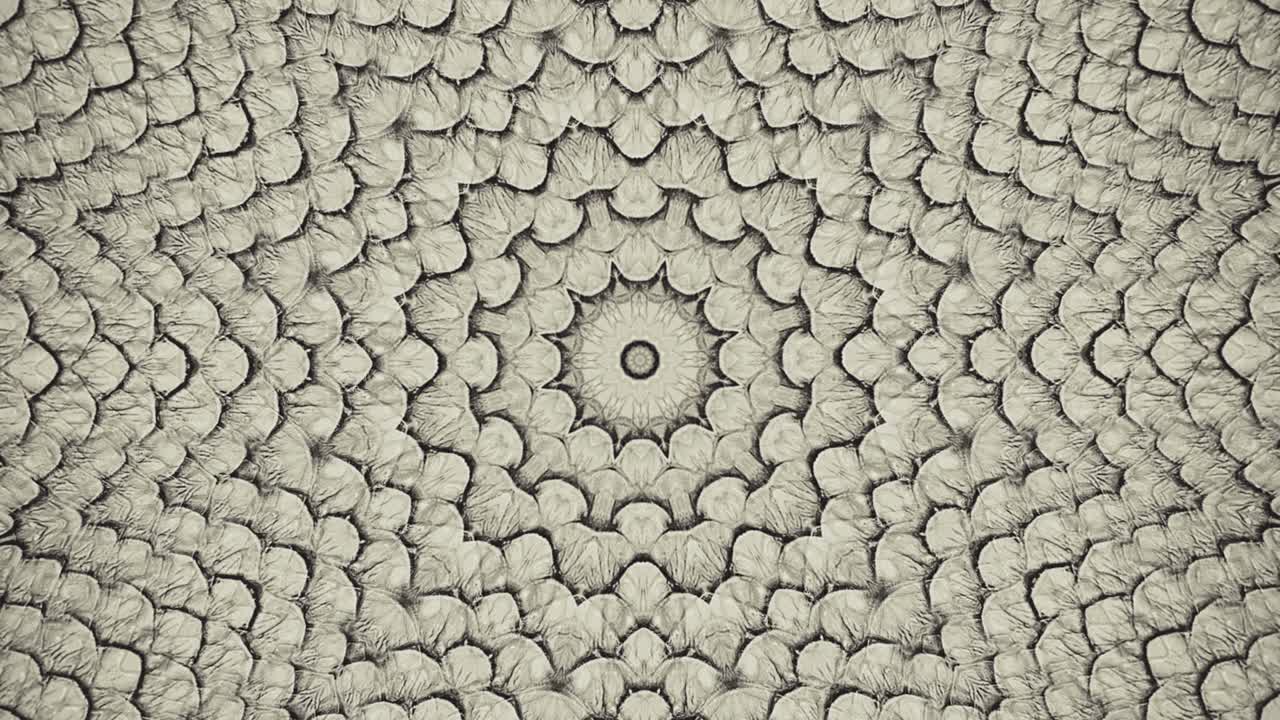 Parallax effect. Radial brown snake skin background. Snake skin texture closeup. 4k zoom in footage