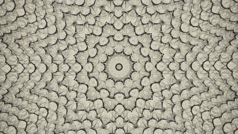 parallax effect. radial brown snake skin background. snake skin texture closeup. 4k zoom in footage