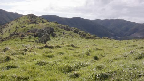 A-day-hiker-walking-towards-the-camera-on-a-grass-path