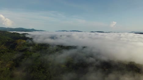 South-American-rainforest-covered-with-low-clouds-in-misty-environment