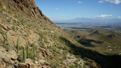 drone shot of cacti covered mountain with tucson arizona in the distance