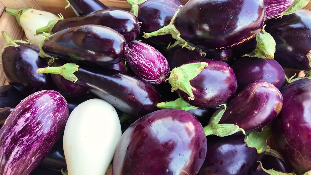 Forward close-up of assorted eggplants in shades of purple and white piled in a wooden crate, highlighting color and texture
