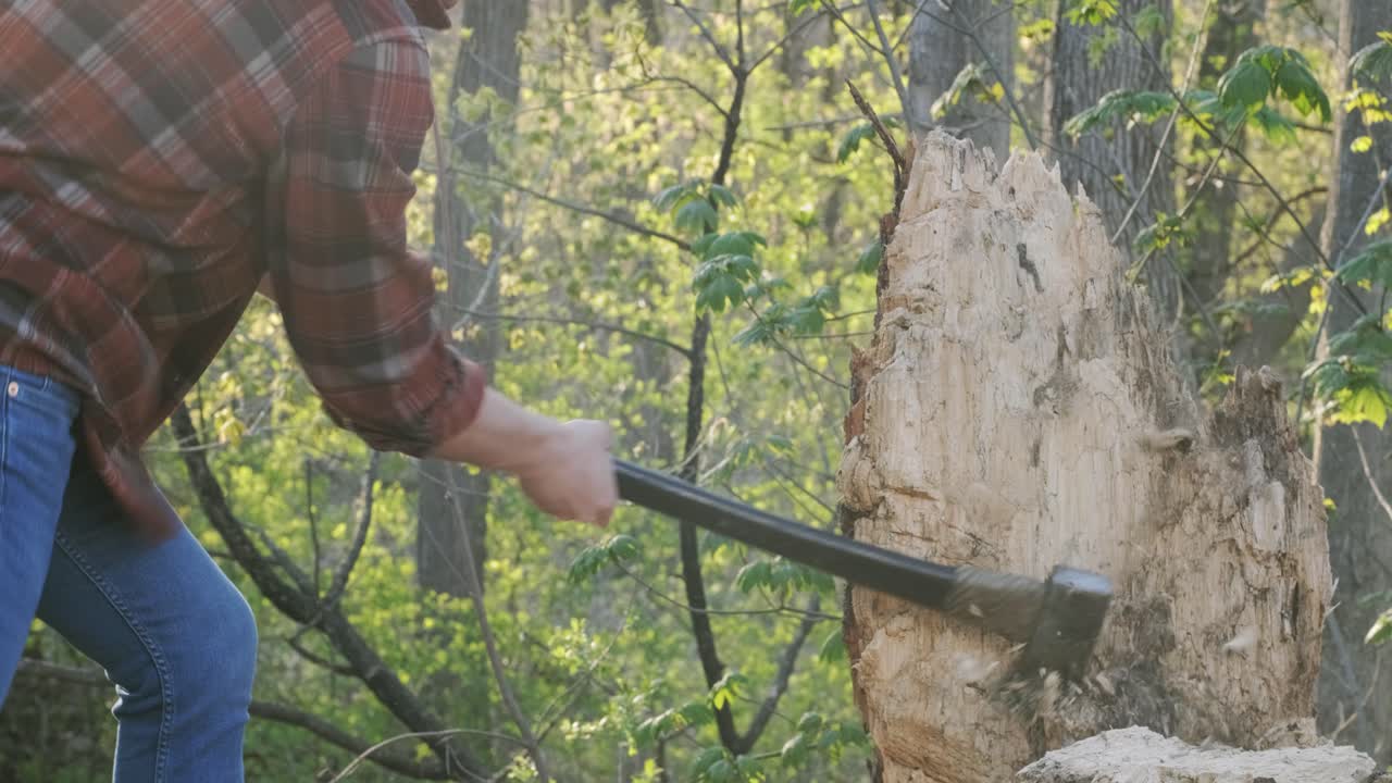 potente golpe de hacha lateral en el tocón de un árbol