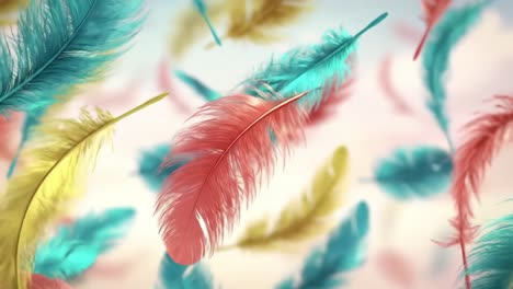 colorful feather animation