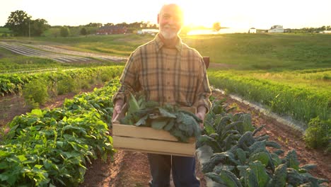 portrait of senior caucasian good looking wise man farmer looking at the side, turning face to the camera in a field