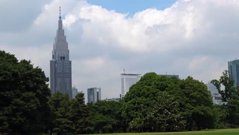 the view of the skyscraper with tree and clouds timelapse