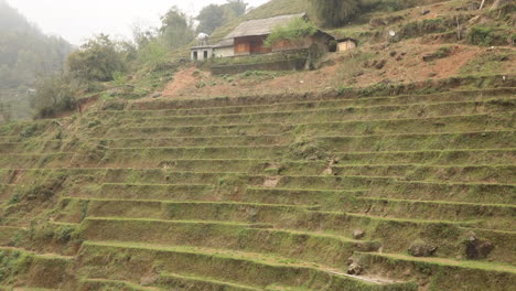 terraced rice fields in the misty hills of sa pa, vietnam, showcasing traditional agriculture