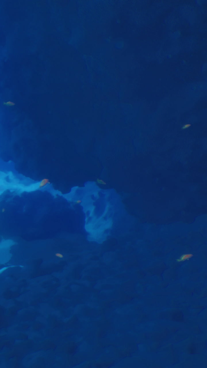 Explore the deep blue sea where vibrant fish swim among rocky formations