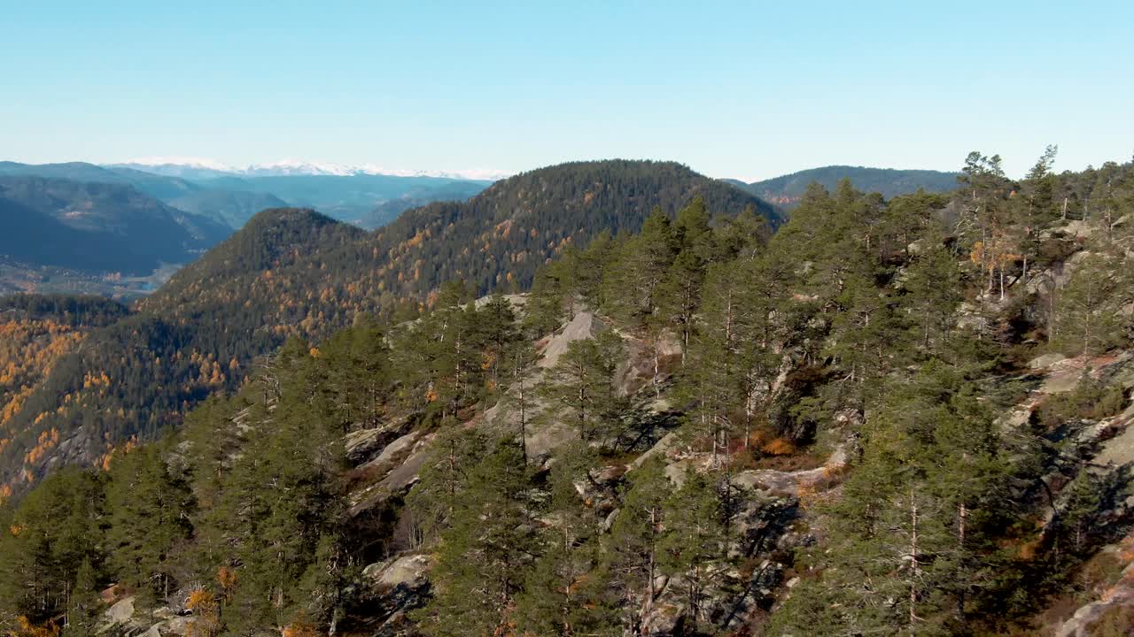 volando sobre la cima de una montaña cubierta de pinos en un paisaje noruego en colores otoñales