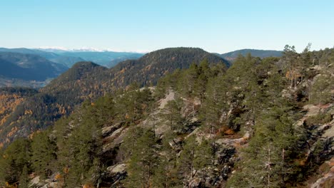 volando sobre la cima de una montaña cubierta de pinos en un paisaje noruego en colores otoñales