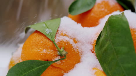 naranjas cubiertas de nieve