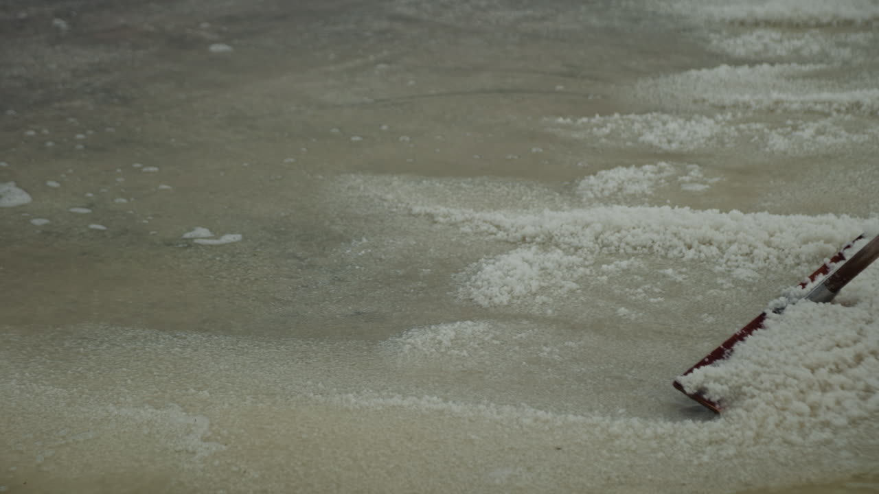 Salt Harvesting in a Salt Pond
