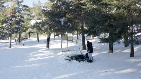 brunette woman in a winter snow scene with bright sun and pine trees