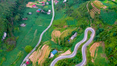 a winding wiggling road cut beautifully into the mountainside on the dong van karst plateau geopark