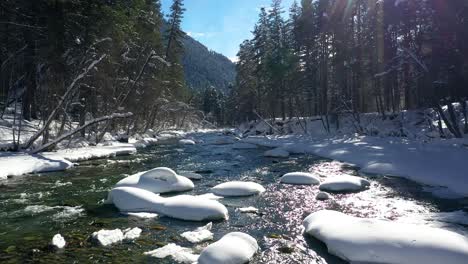 Schöner-Schneeszenenwald-Im-Winter.-Überfliegen-Von-Fluss--Und-Kiefernbäumen,-Die-Mit-Schnee-Bedeckt-Sind.