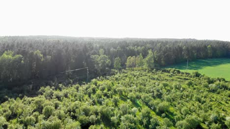 Aerial-shot-of-a-meadow-in-pomeranian-district-in-Poland