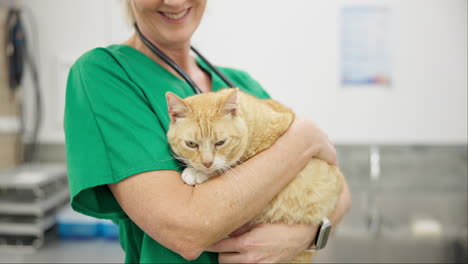 vet, doctor or cat with hug for healthcare