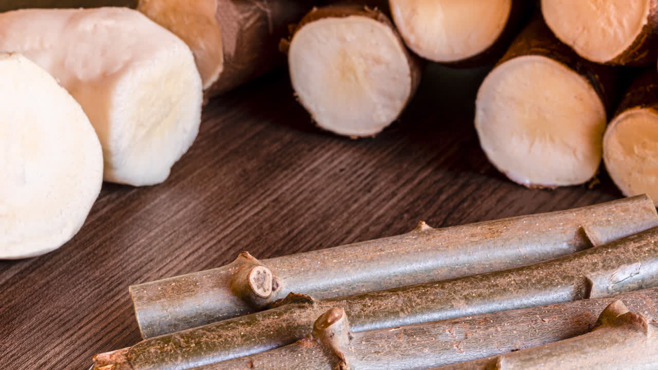 manioc, yuca, balinghoy, mogo, mandioca, kamoteng kahoy, 타피오카 및 manioc 뿌리라고도 불리는 카사바, 남미 원산의 대극과과의 목본 관목