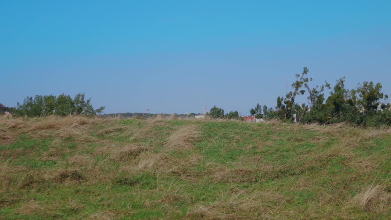Rural grass landscape hill with trees,blue sky and sunlight.Waving polish flag in background.Wide shot.