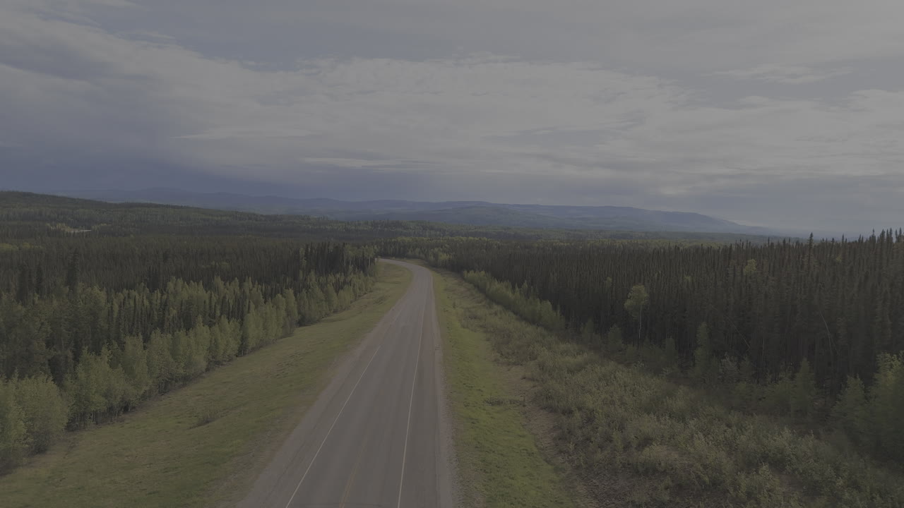 Tranquil wilderness drive on the Alaska Highway.