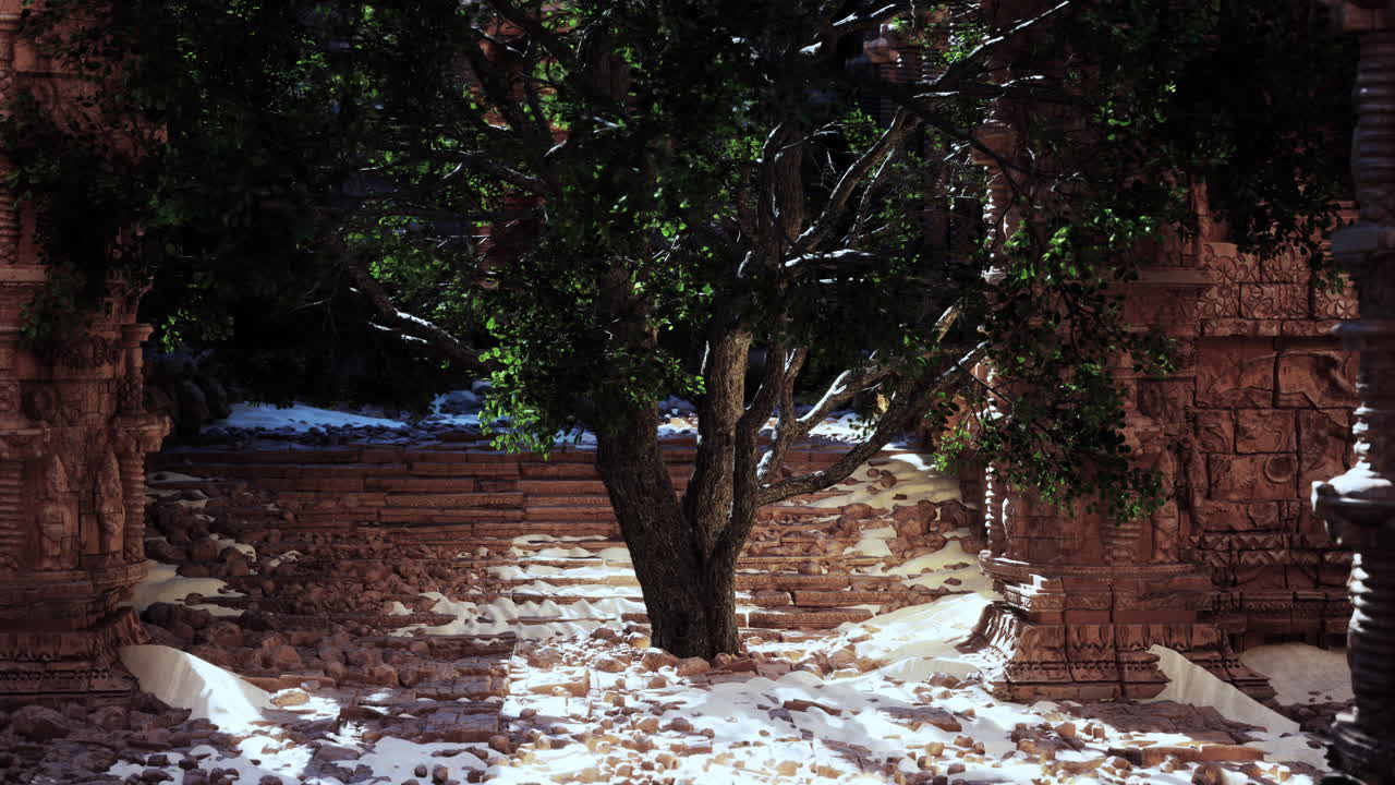 한 나무가 잔해 어리에서 자라고 있습니다.