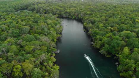 cinematic aerial pullback shot of a winding river cutting through a vast tropical forest, with birds flying and a boat passing by