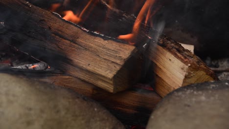 close up of chopped wood logs burning on hot smoking campfire outdoors in the forest