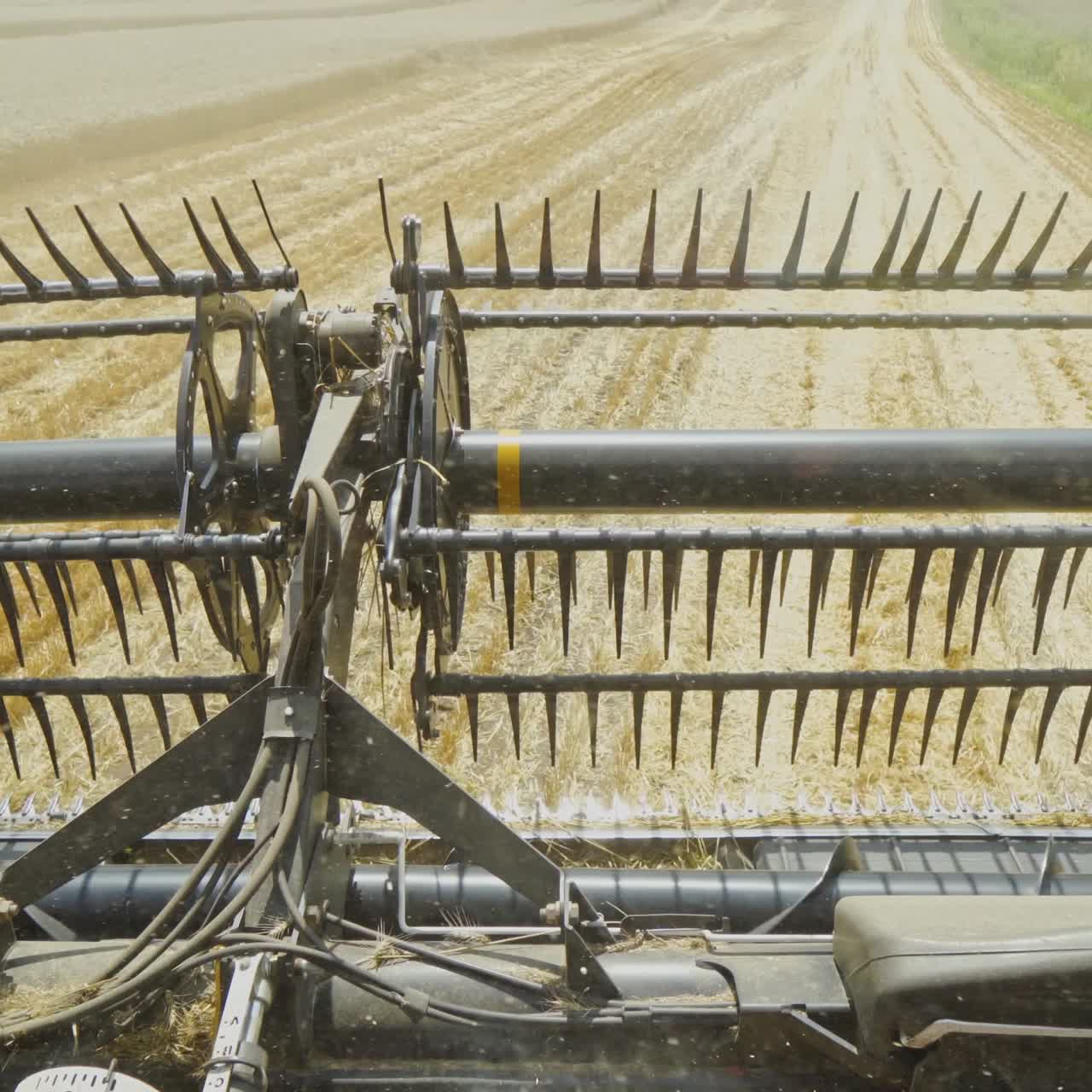 Rotating knives grain harvester. Metal part of combine harvester for harvesting in the yellow field. Agricultural machinery.