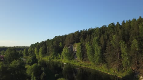 river flowing through a forest with a cliff side