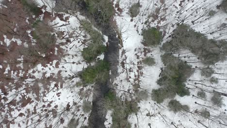 Northern-New-York-Flying-Looking-Down-On-Forest-Stream---4k-Aerial