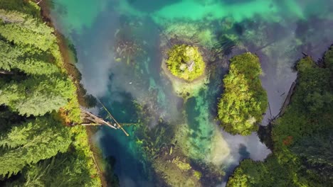 una vista aérea de gran ángulo que mira hacia abajo a un lago o río verde con nubes que reflejan